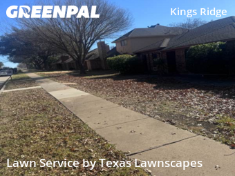 Landscaping Companies In Frisco,75035,Landscaping by Texas Lawnscapes, work completed in Jan , 2026