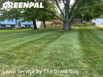 Lawn Cut nearby Medina, OH, 