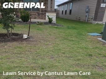 Lawn Cut nearby San Antonio, TX, 