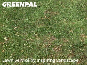 Yard Cuttingin Castle Pines,80108,Lawn Cut by Inspiring Landscape, work completed in Jun , 2026