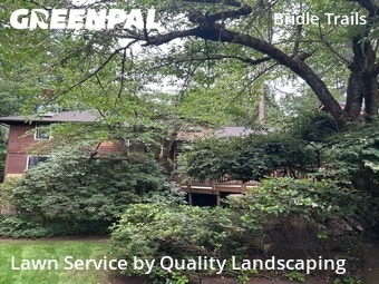 Landscaping Cleanup In Bellevue,98007,Landscape Design by Quality Landscaping, work completed in Jul , 2026
