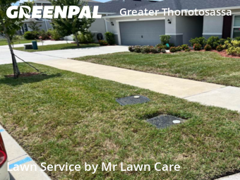 Grass Cutting nearby Seffner, FL, 