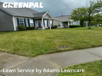 Grass Cutting nearby Westfield, IN, 