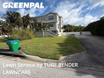 Lawn Mow nearby Palm Harbor, FL, 