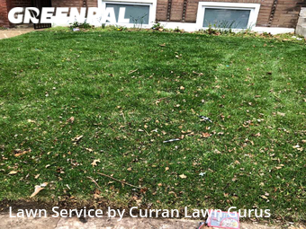 Lawn Cut nearby St. Louis, IL, 