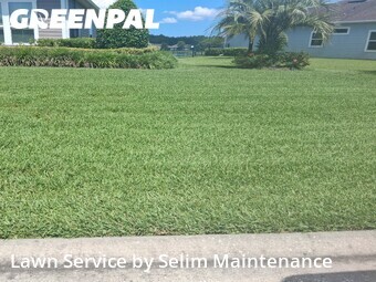 Grass Cut nearby St. Augustine, FL, 
