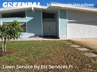 Yard Mowingin Clearwater,33764,Lawn Maintenance by Etc Services Fl, work completed in Mar , 2026