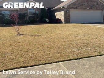 Yard Cutting nearby Bryant, AR, 