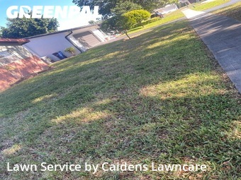 Lawn mowed in Cooper City, 33328
