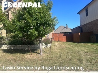 Lawn Mow nearby Cibolo, TX, 