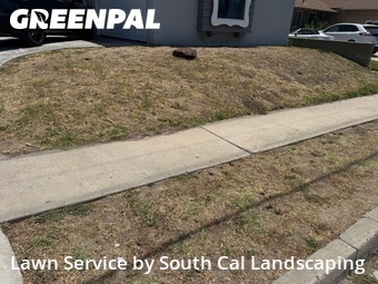 Work completed by affordable-lawn-services-in-Lemon Grove-CA