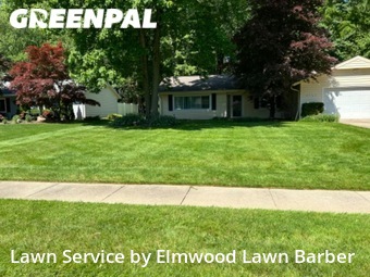 Grass Cut nearby North Ridgeville, OH, 