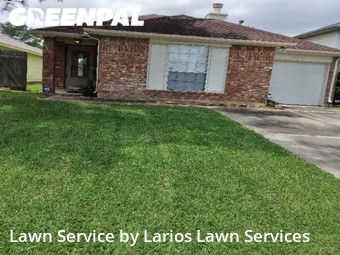 Grass Cut nearby Houston, TX, 