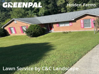 Grass Cutting nearby Greensboro, NC, 