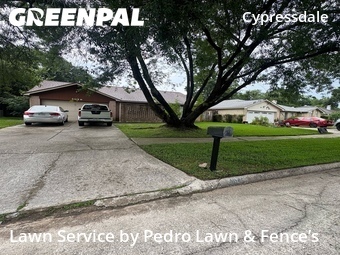 Lawn Servicein Spring,77388,Lawn Mow by Pedro Lawn & Fence’s, work completed in Jun , 2026