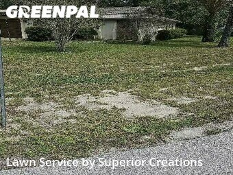 Lawn Care Service nearby Spring Hill, FL, 
