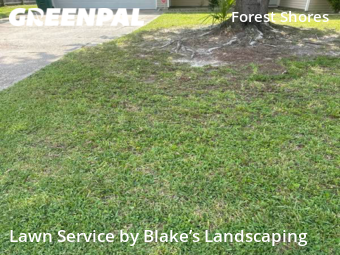Lawn Maintenance nearby Panama City, FL, 