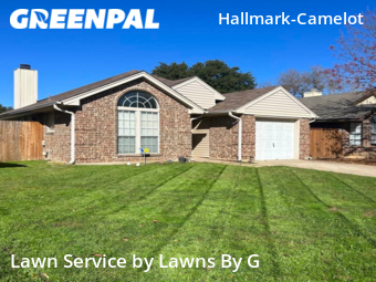 Yard Cutting nearby Fort Worth, TX, 