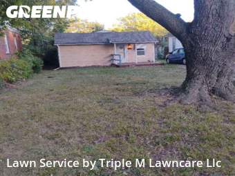 Yard Grooming in Independence, 64053, Yard Care by Triple M Lawncare Llc, work completed in Nov , 2025
