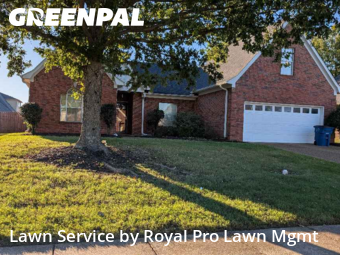 Lawn Mowing nearby Olive Branch, MS, 