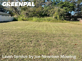 Lawn Cut nearby Clearwater, FL, 