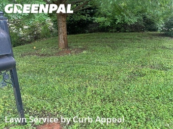 Lawn Mowing nearby Midland, NC, 