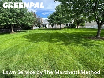 Yard Mowing nearby Aurora, IL, 