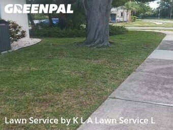 Grass Cutting nearby St. Petersburg, FL, 