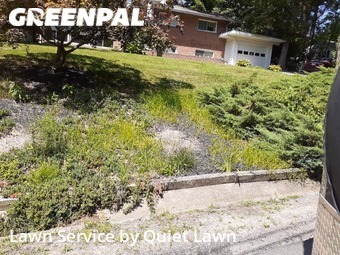 Yard Care Services in Annandale, 22003, Turf Services by Quickscape , work completed in Nov , 2025