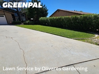 Yard Cutting nearby Lancaster, CA, 