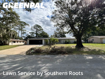 Grass Cut nearby Palm Coast, FL, 