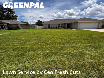Lawn Maintenance nearby Ocala, FL, 