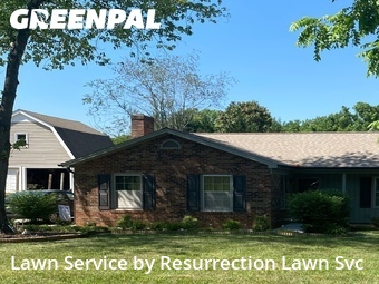 Lawn Mow nearby Gibsonville, NC, 