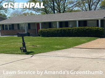 Yard Cutting nearby St. Louis, MO, 