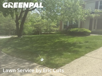 Lawn mowed in Novi, 48375