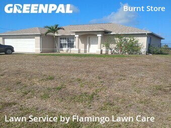Lawn Cutting nearby Cape Coral, FL, 