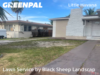Lawn Cut nearby Miami, FL, 