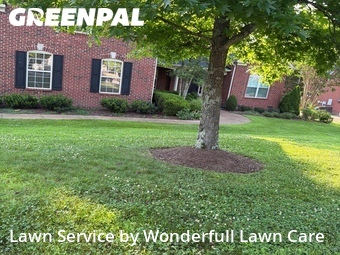 Lawn mowed in Franklin, 37067