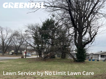Lawn Cutting nearby Granite City, IL, 