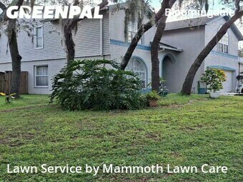 Grass Cutting nearby Valrico, FL, 