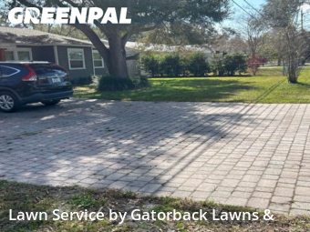 Grass Cut nearby Tampa, FL, 