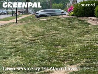 Grass Cutting nearby St. Louis, MO, 