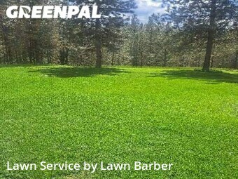 Grass Cut nearby Nine Mile Falls, WA, 