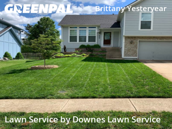 Grass Cutting nearby Olathe, KS, 