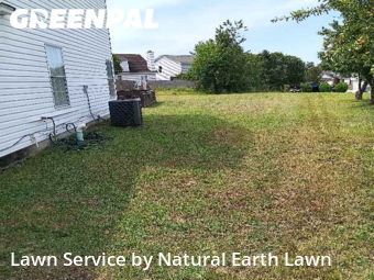 Lawn Care nearby Columbia, SC, 