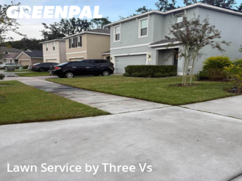 Lawn Maintenancein Wesley Chapel,33543,Lawn Mowing Service by Three Vs , work completed in Jan , 2026