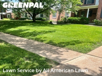 Grass Cuttingin Brentwood,63144,Lawn Cut by All American Lawn , work completed in Jun , 2026