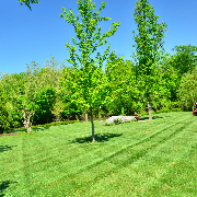 lawn-maintenance-in-Salt Lake City-UT