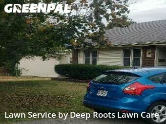 Grass Cut nearby Springfield, MO, 