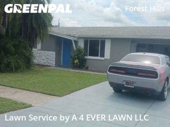 Lawn Mow nearby Holiday, FL, 